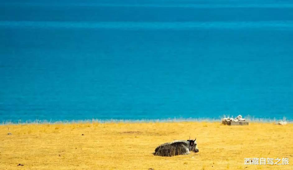 旅行|国内必去的100个地方，去过60个，称得上真正的旅行达人