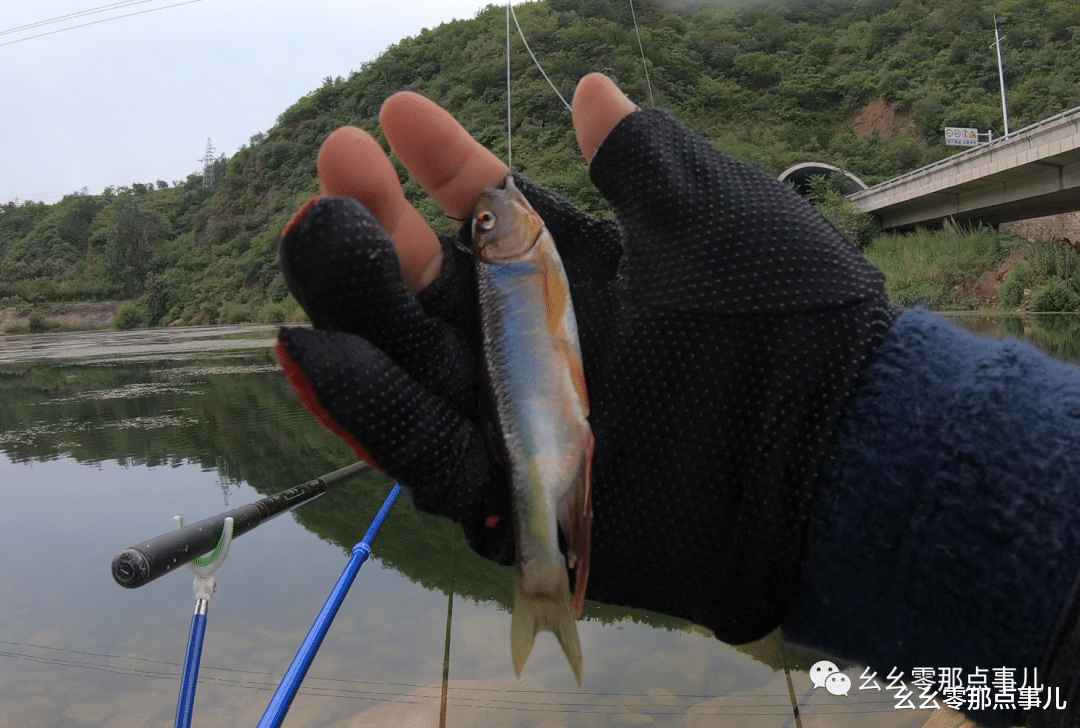 |游钓北京那点事儿：回归垂钓本质，探索鱼种资源，丰富水族知识！