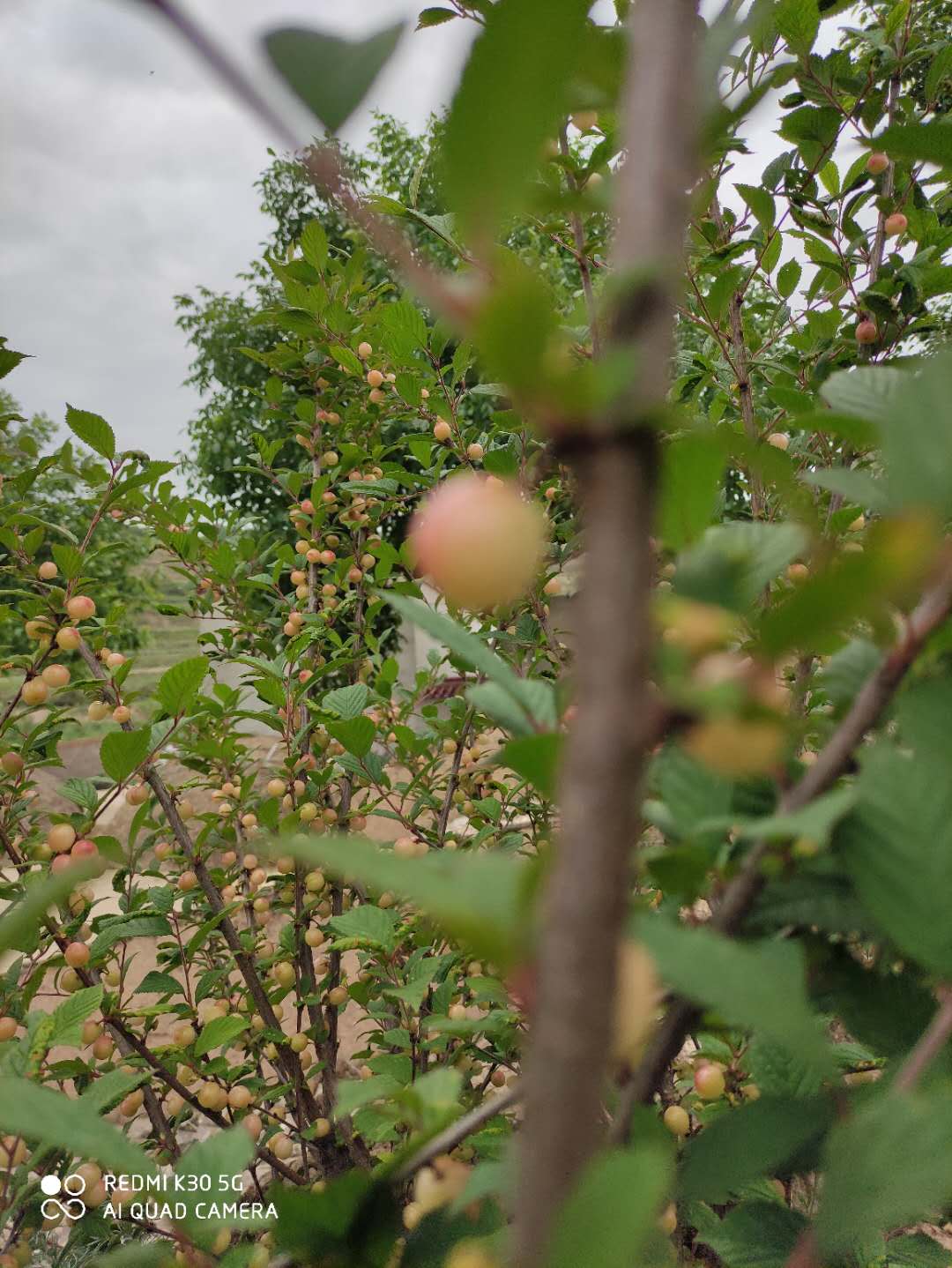 医生|为什么医生家庭不让孩子报考医学专业，因为待遇低吗？