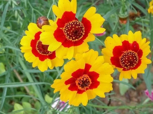 属兔|9月下旬开始霉运消散，收入大涨，挺直腰杆做人的4大生肖