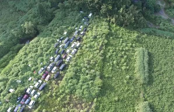 28张震撼的照片告诉你:如果人类消失了,地球会变成什么样!
