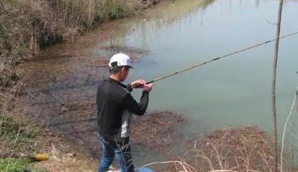 鲫鱼|冬季钓鱼有秘诀：“9字秘诀”看懂冬钓套路，天冷也能连竿上鱼！