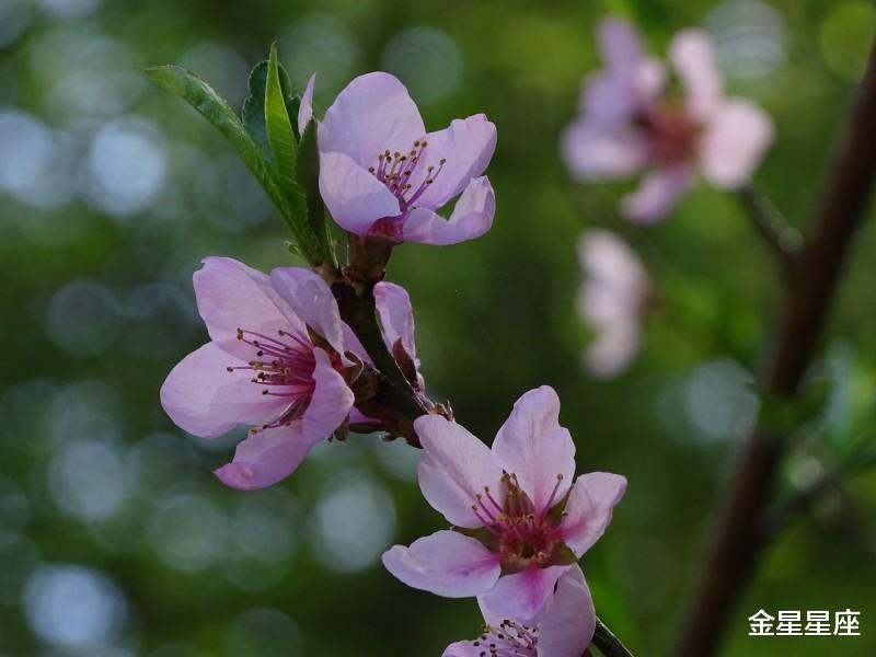 【生肖】机缘来，6月14号，3生肖迎来巅峰，不缺贵人，不缺钱