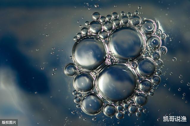 「」鱼星多不吃钩？多半是水底有“问题”，想要钓上鱼先学会判断