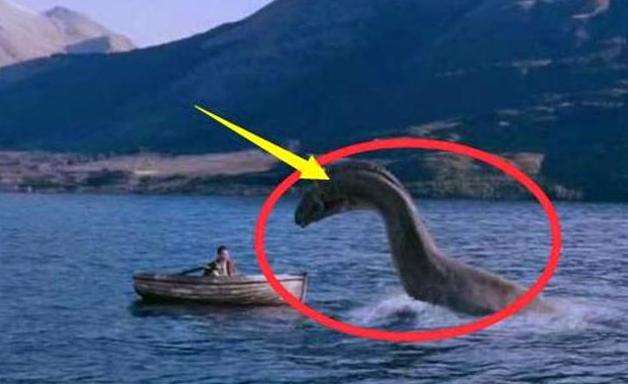 |新疆湖泊发现“水怪”，牛羊被拖走没人敢接近，专家找到谜底