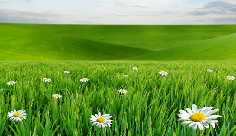 运势|不瞒你说:8月喜上加喜,横财一波接一波,吃穿不愁的属相