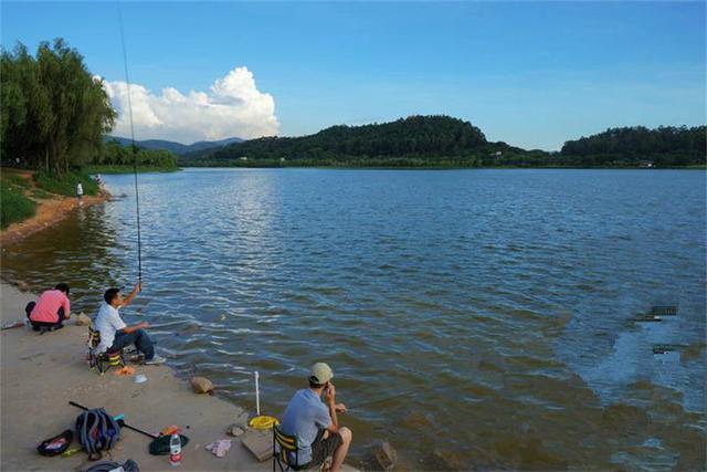 鲫鱼|别再抱怨水中没有鱼了，就这几个细节，有鱼也不会进窝