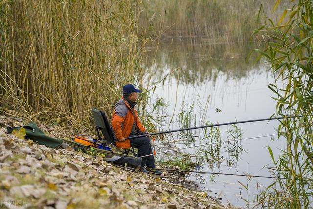 钓鱼|钓鱼不加药，纯属瞎胡闹！钓鱼加点药，大鱼天天钓~