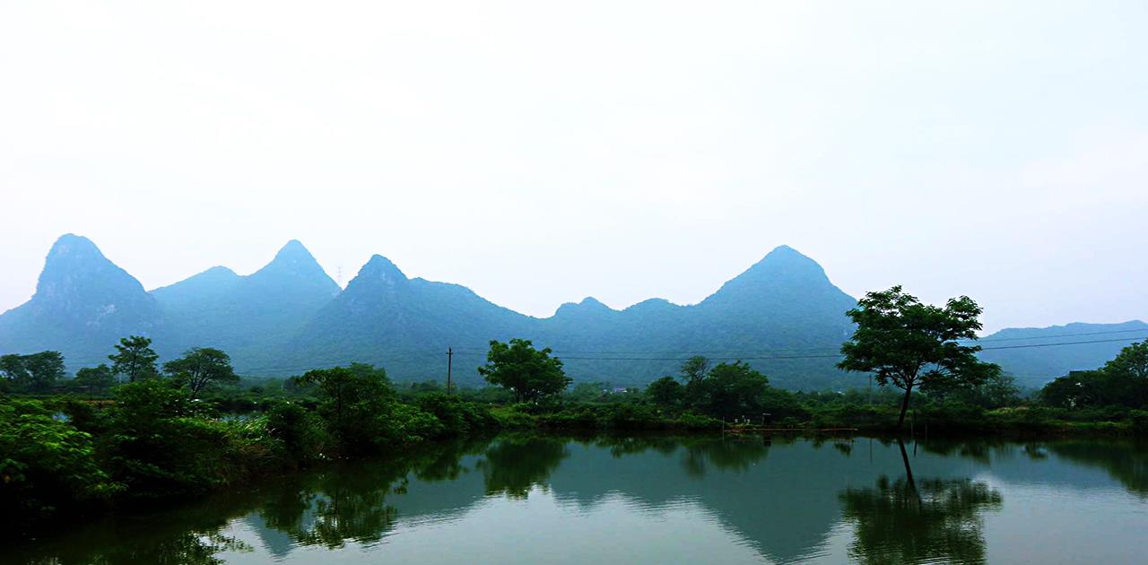 |废弃鱼塘钓到18斤大青鱼,来人张嘴要200块,钓友做法让人叫好