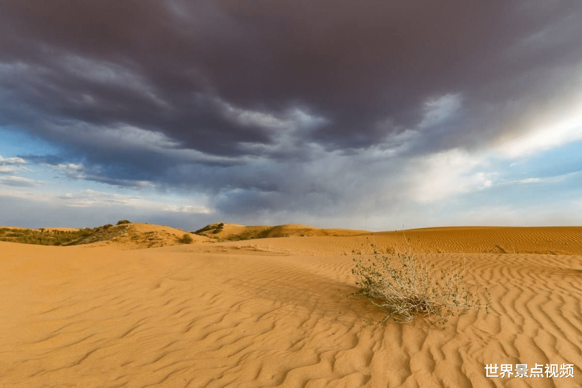 |世界上最“丢人”的沙漠，为了不让它消失，每年还要人工除草