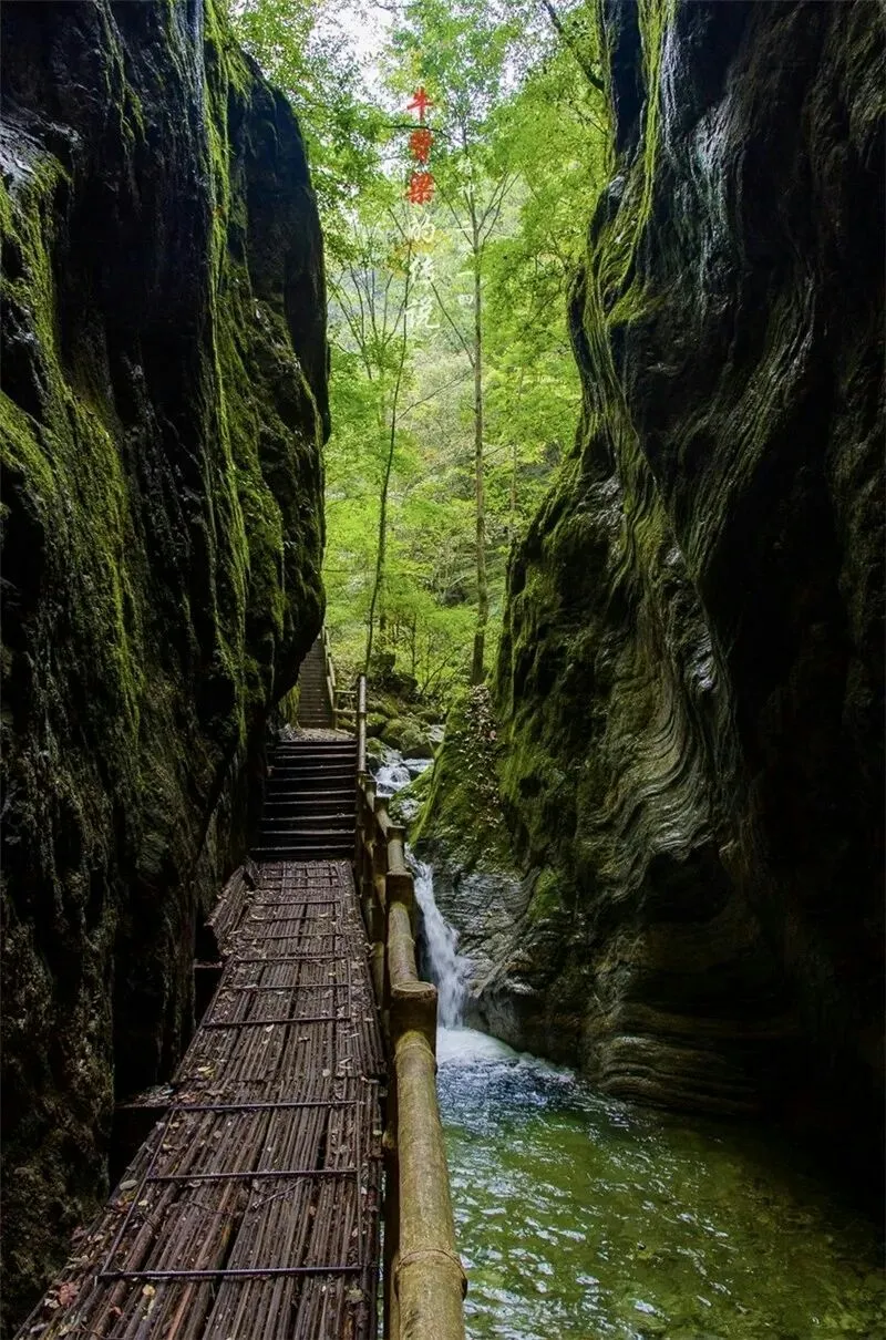 [秦岭]一个美了四季的地方，她就在秦岭山里