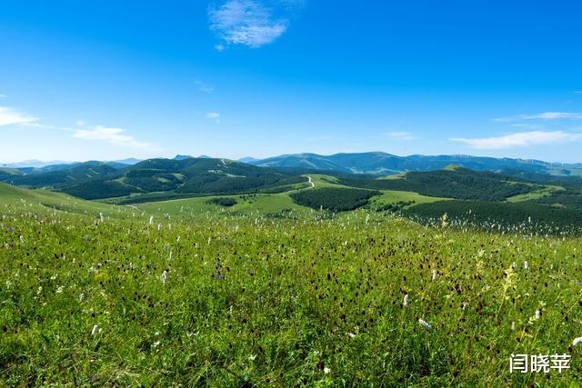 自驾|自驾七彩森林，寻找最美大草原16℃的夏天