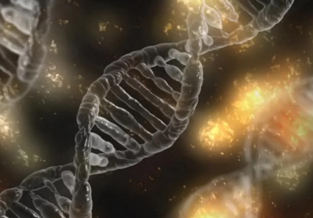 黑猩猩|人类为何会失去全身毛发，只剩下关键部位毛发？