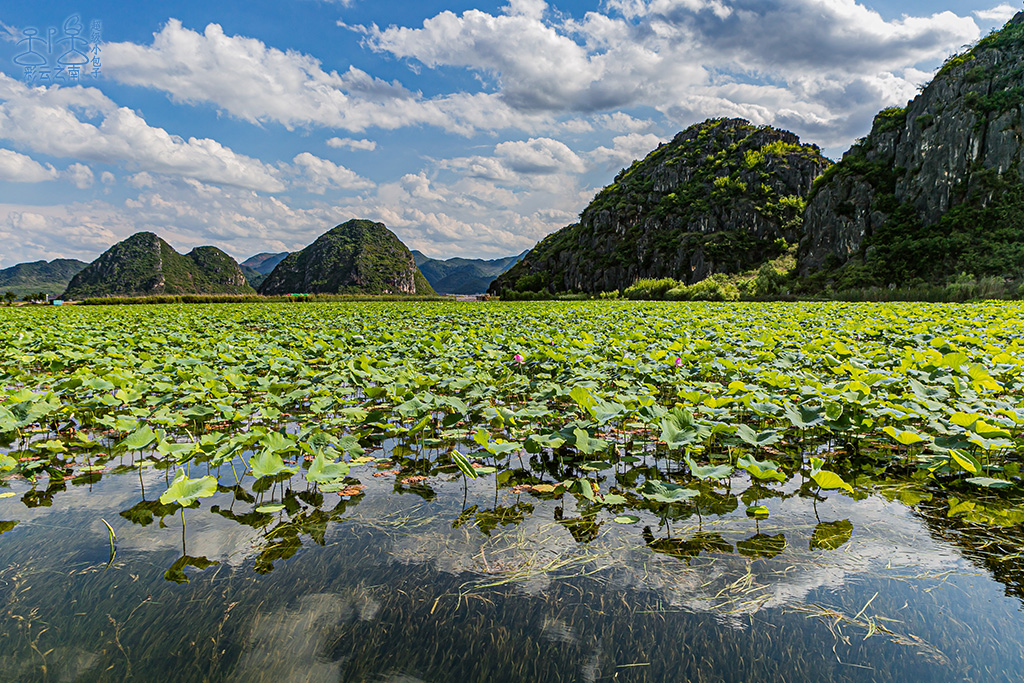 【内蒙古】想感受异域风情?不用出国门,还能提前探访“云南虫谷”