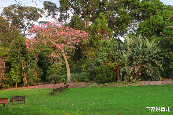 青岛市|青岛一公园走红，环境优美游客众多，不收门票吸粉无数