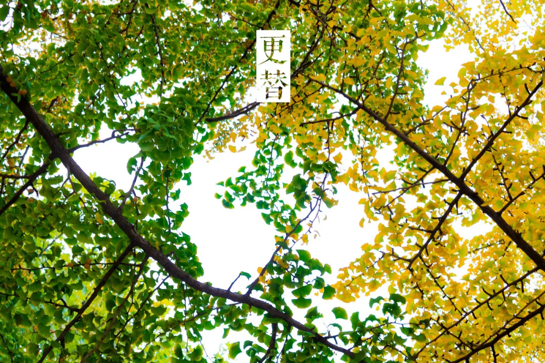 [辽宁省]美过三亚！比厦门浪漫！中国这座海滨老城，去一次相当于环游世界！