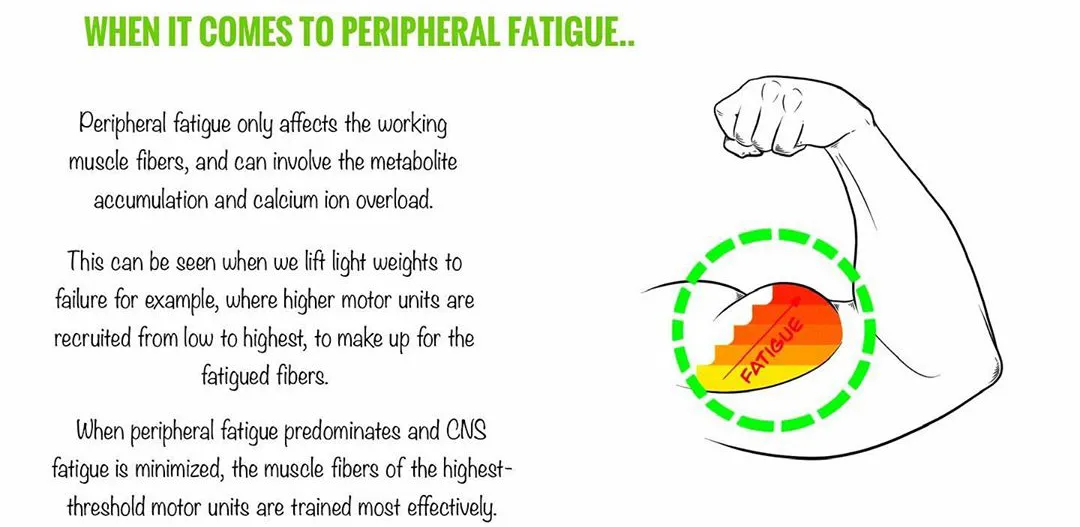 |身体疲劳，为什么不建议你强撸铁！