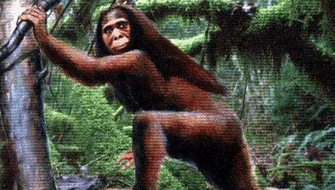 『尼斯湖水怪』大千世界真是无奇不有, 细数世界上最神秘的十七种生物