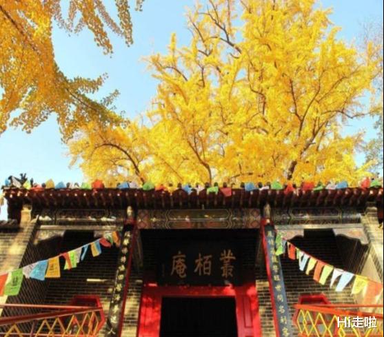 『山东省』山东\最低调景区\，门票仅售20元，胜过世外桃源却无人问津
