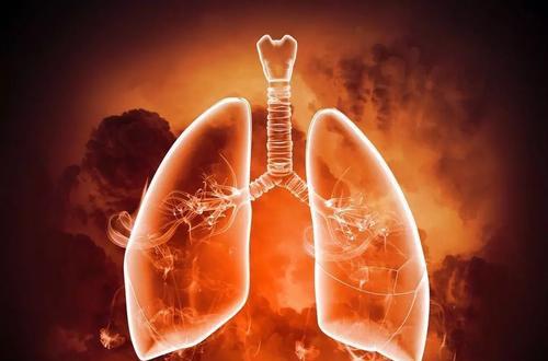 红枣@红枣是个补身体的好东西，但这4类人不能多吃，吃了是“浪费”