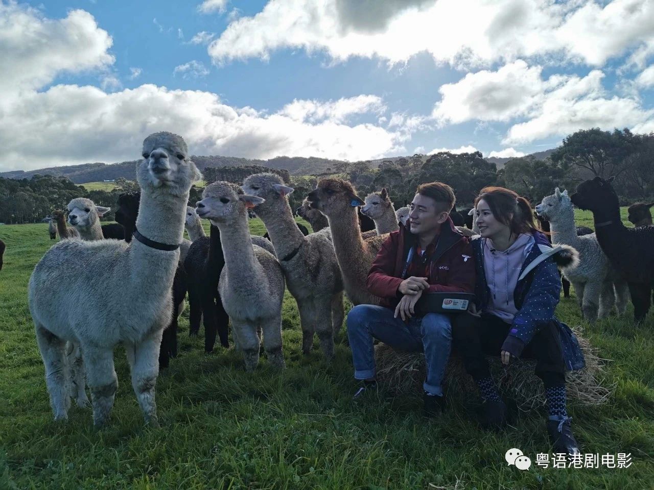 神奇女侠1984|郑嘉颖周励淇曾三度“相恋”　10对TVB经典荧幕情侣