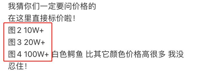 「香奈儿」女版王思聪！31岁富婆一件衣服100万，遍地土味奢侈品就像摆地摊