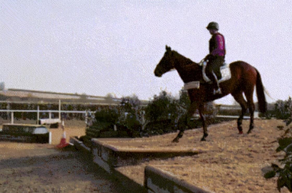 |“钓鱼的时候飞到我手上的，第一次见，谁知道这个是什么？”