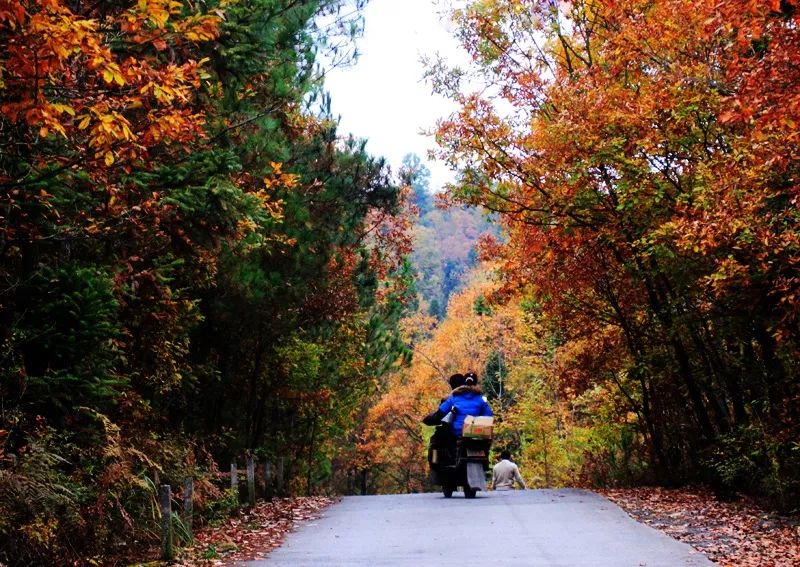 石林|中国又一“仙境天路”横空出世！左手天堂右手地狱，一路景点门票全免！