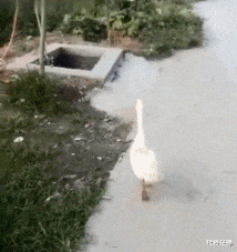 社会尘缘 姑娘，你怎么能亲那呢？看你男朋友都不乐意了？