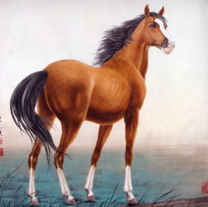 #属马#生肖马，大喜临门了，接住这次的喜生活就会咸鱼大翻转！