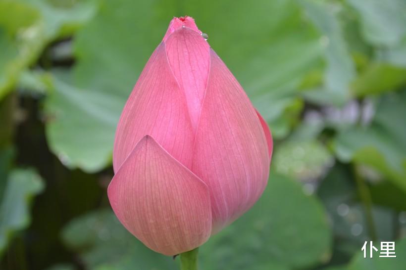 []恭喜3大属相，未来3个月接喜接横财，喜逢贵人，满面春光来