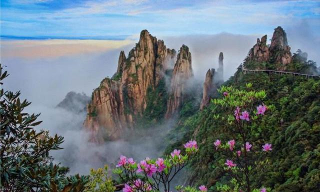 『三清山』中国还有座山值得一去，不输其他名山，奇观名花古树颇多