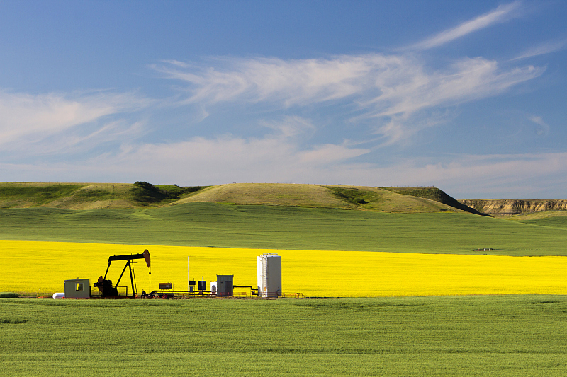 「生肖」6月上旬，运势大吉，3生肖福到运来，喜事临门，皆大欢喜