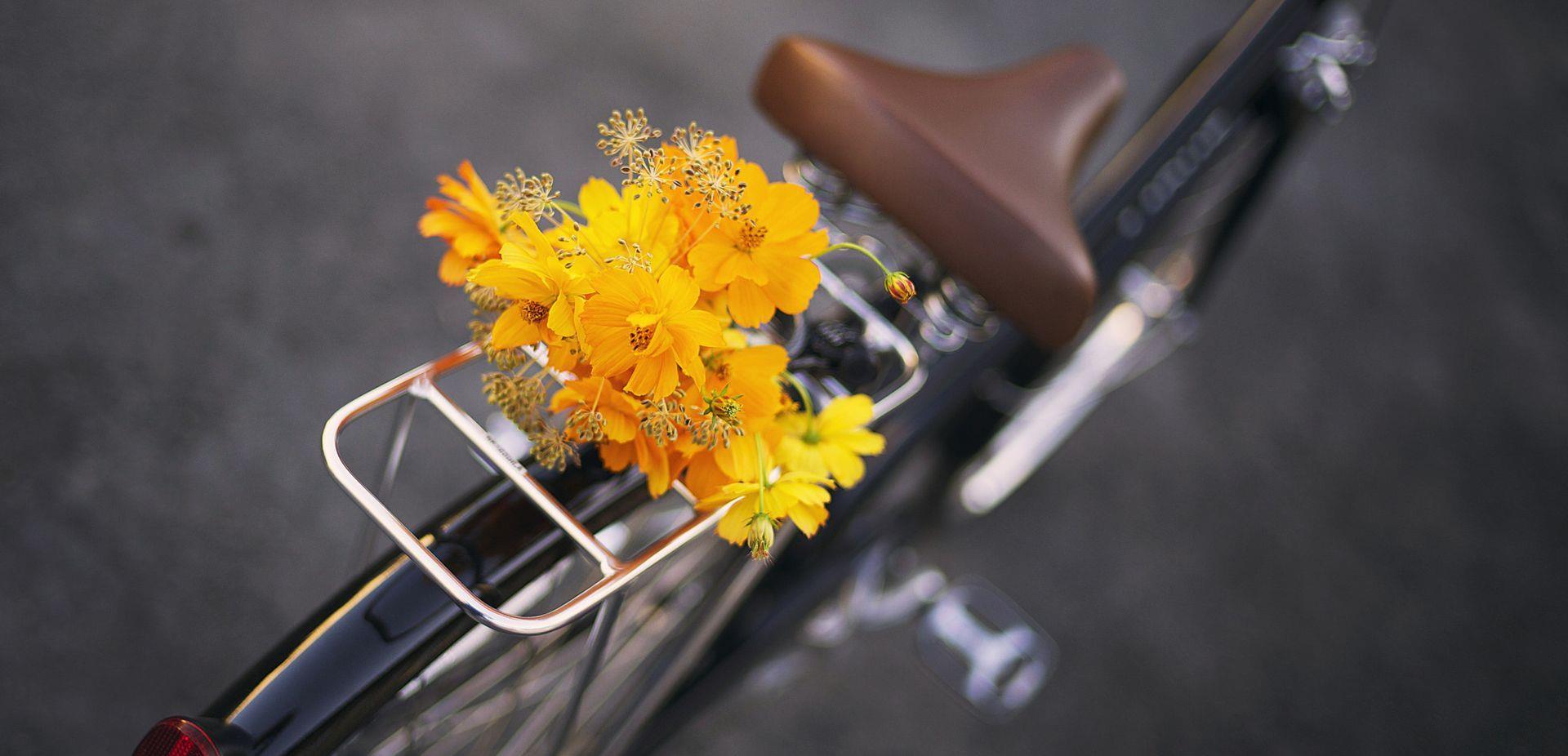 白羊座|富贵命里有定数,7月天降鸿富的三星座,双鱼财运最佳