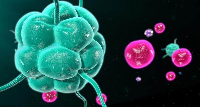 生命周期@人能活多久?老祖宗早已算好生命周期,易经:这两个年龄段需注意