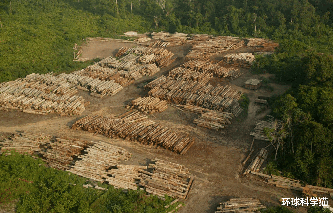 卫星|大西洋海中现“大沙漠”!卫星清晰可见,气候正走上“绝路”?