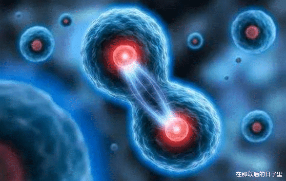 |人类为什么只有3万天的寿命?看完才明白,自然规律不可违背