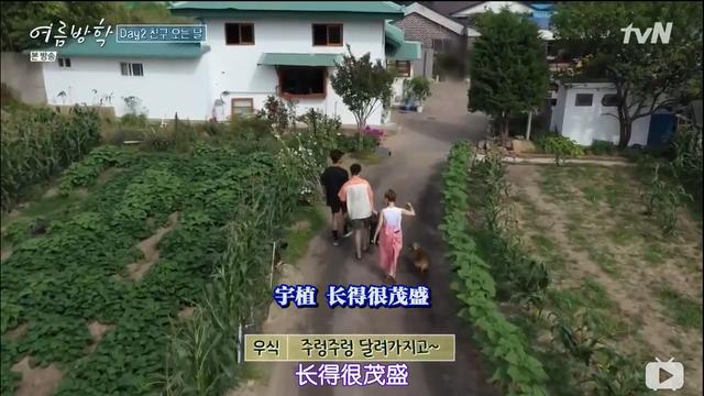 豆瓣|豆瓣9.3,今年夏天的所有综艺都输给了它