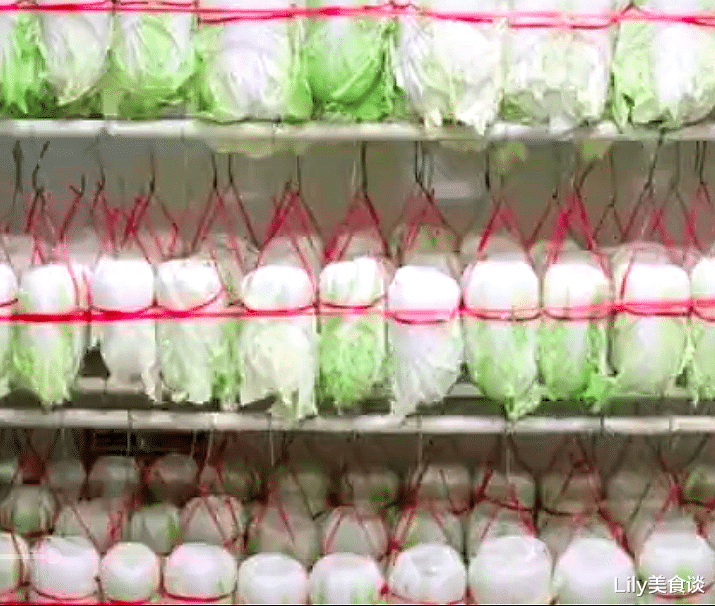 土豆丝：部队食堂到底多整齐？大蒜也就忍了，最后看到土豆丝实在忍不住了