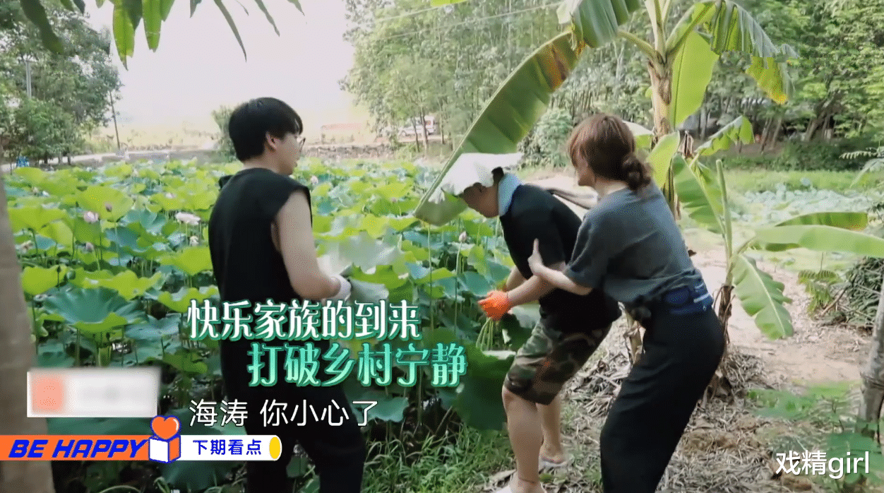 吴昕|谢娜没来，吴昕吵翻蘑菇屋：说何炅植过发，割破手碎碎念自己太笨