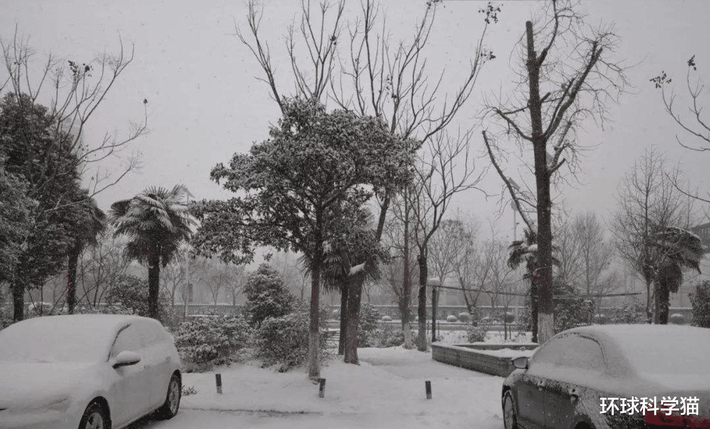 厄尔尼诺现象|海洋波动!拉尼娜现象或要来,概率提升到60%,2020年可能是冷冬