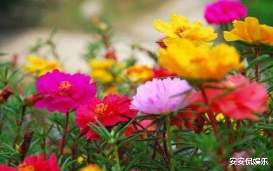 『处女座』2020年，有缘相爱，无缘到老，3星座注定擦肩而过，此生孤独