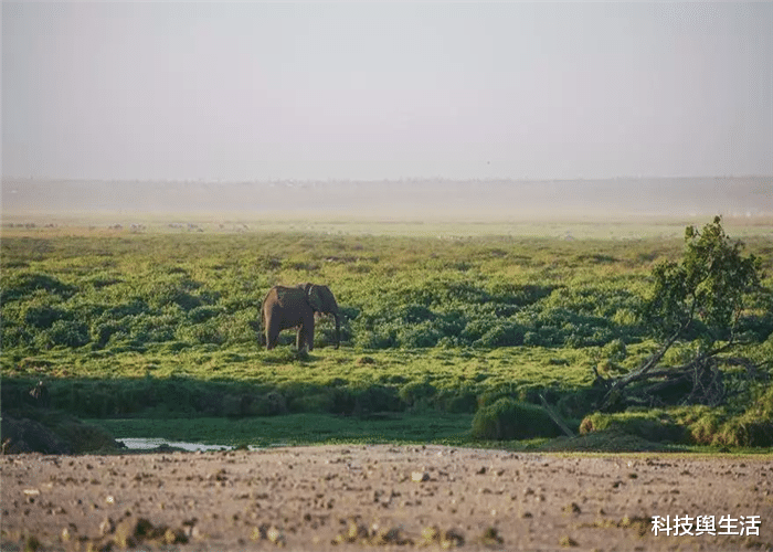 【科学家】200年后的地球是怎样的？看到模拟图后，科学家不淡定了！