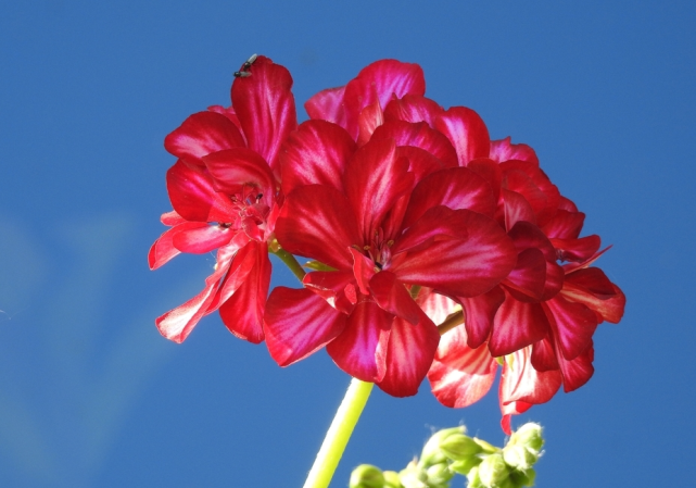 天蝎座|男人眼中很有吸引力的星座女，魅力出众善解人意，天蝎座榜上有名