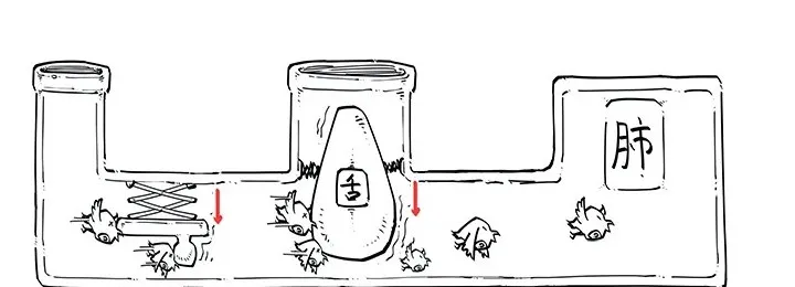 衰老|越睡越累？其实是你的\鸟\不够用了......