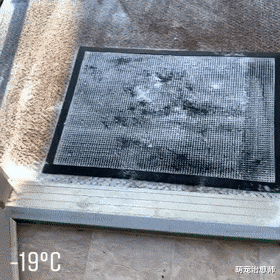 屋外零下19度狗偏要出去玩，结果刚出门就被冻得往回跑，冻死狗了