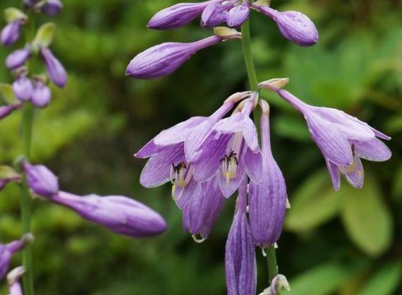 【生肖】最“好哄”的三种生肖女,刀子嘴豆腐心,男人要了解