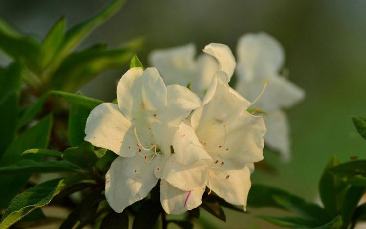 双鱼座■鼠年4月起,财气旺盛,事业一飞冲天,不愁没钱花的几大星座