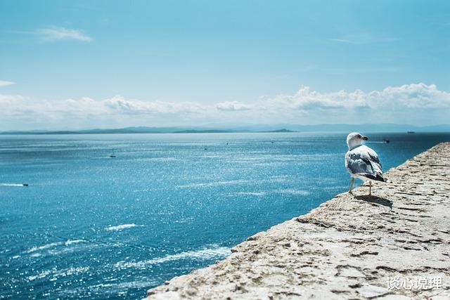 生肖|12月，桃花喜人，眉目传情，3星座念念不忘，兜兜转转爱成真