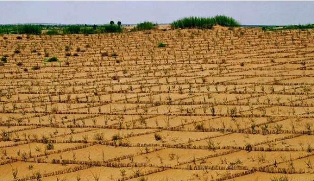  我国这个“最丢人”的沙漠：600多万亩黄沙变成绿洲，被种上土豆